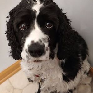 Meet your Posher, Debra